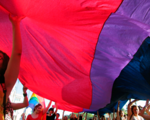 Orgullo Estatal 2016, Año de la Visibilidad Bisexual en la Diversidad