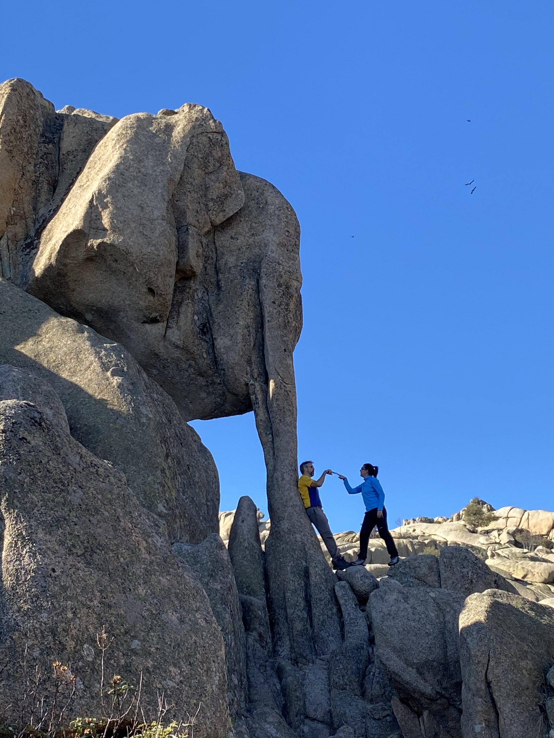 Elefantito de la Predriza